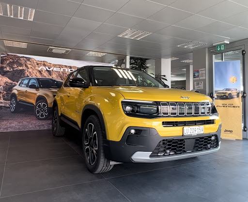 Bertoni Automobili SA / Renault-Nissan-Jeep-Peugeot - Thumbnail