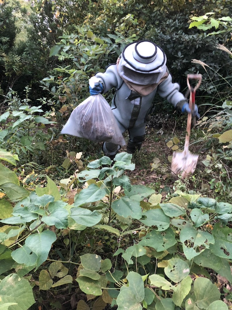 蜂の巣駆除 便利屋ヤーマン商店