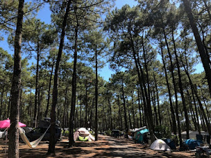 Photo n°70 de Camping Municipal du Cap-de-l'Homy à Lit-et-Mixe (Terrain de camping)