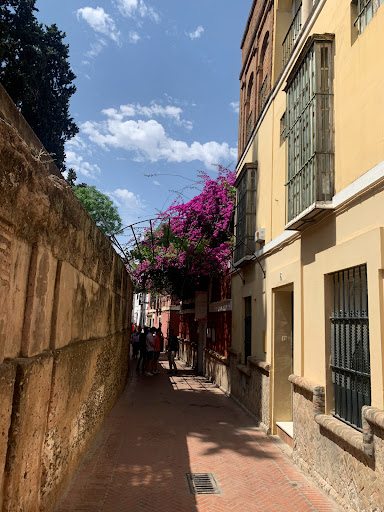 Corral del Arte - Thumbnail
