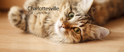 Charlottesville Cat Care Clinic