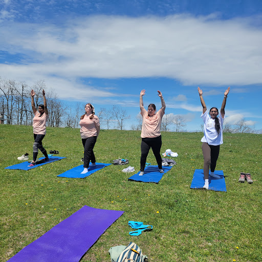 Asheville Wellness Tours - Thumbnail
