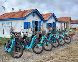 Photo n°7 de Médoc Aventures à Talais (Centre de sports d'aventure)