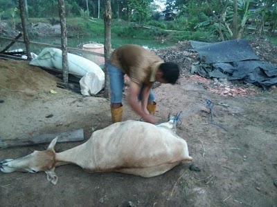 Photos of Lapakkameraku Toko Kamera