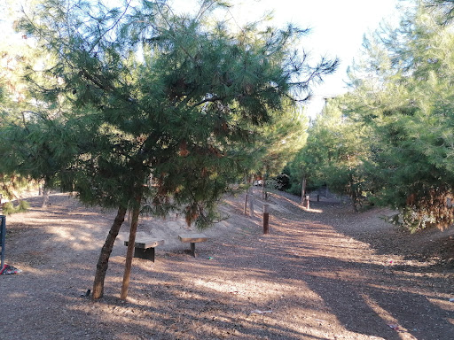 Bosc urbà - Visual