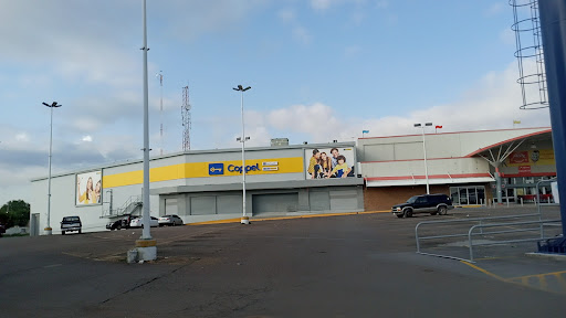 Coppel Baeza