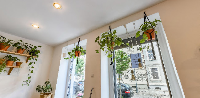 Numer telefony do Avocado Vegan Bistro