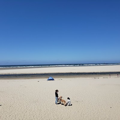 Five Zero Trees Cannon Beach