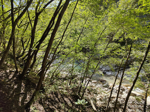 Golfarone Waterfall - Visual