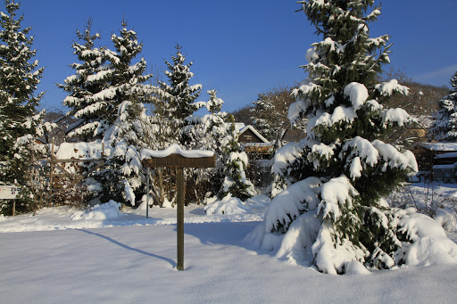 Niebraer Weg - Visual