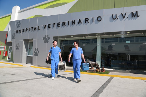 Hospital Veterinario UVM - Thumbnail
