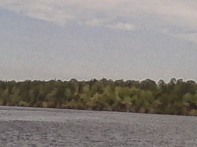 Jones Lake State Park