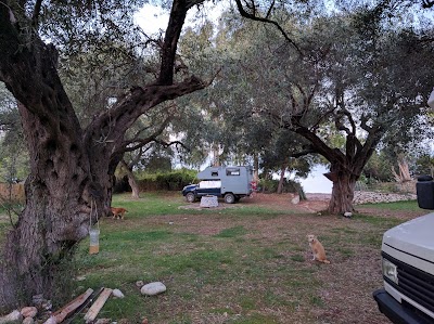 Photos of Sofas Camping