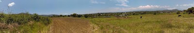 Photos of SAN AGUST&iacute;N HUIXAXTLA