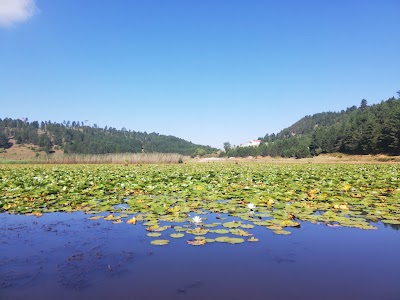 Liqeni i Dushkut