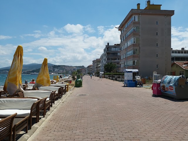 Elit Cafe
