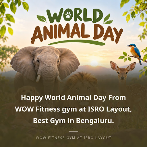 Happy World Animal Day From WOW Fitness gym at ISRO Layout, Best Gym in Bengaluru. post image