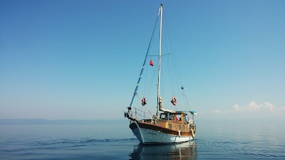 Photos of Boat Tours in Ayvalık C Osaday