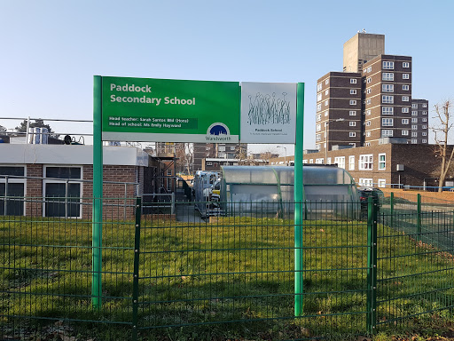 Paddock School - Visual