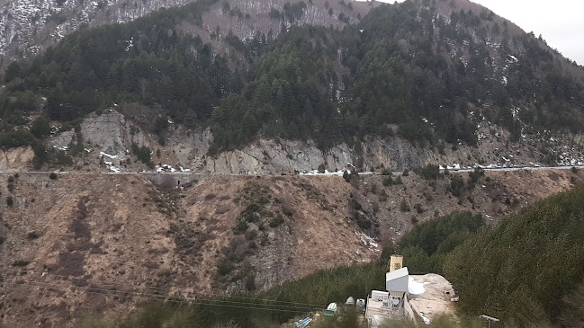 Άγαλμα Αρκούδας - Μέτσοβο