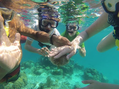 Photos of Adventure Charters Belize