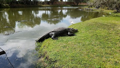 Gatorama Inc.