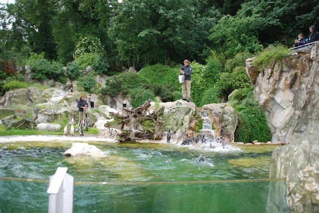 Zoo de Schönbrunn