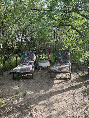 Comentarii opinii despre NOWE SPA