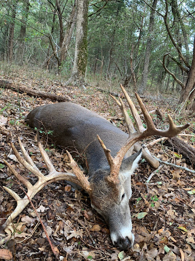 C5 Hunting Lodge