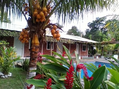 Photos of Hotel Los Maderos