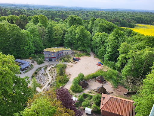 Bungsberg Gallery - Germany