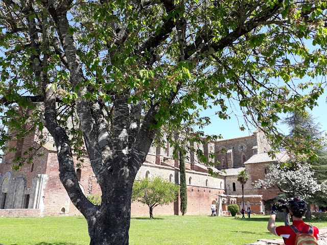 Abbazia di San Galgano