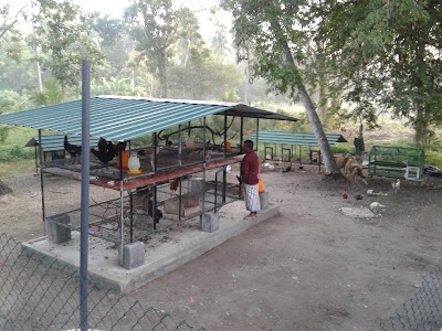 Photos of Hangilipola Farm Resort