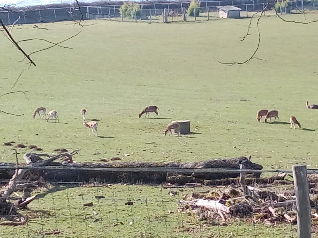 Parc Zoo du Reynou