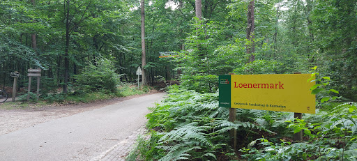 Wandelparkeerplaats schaapskooi Loenermark - Thumbnail