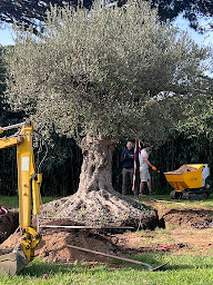 Photo n°1 de S.d.s Espaces Verts Jardinier à Grimaud (Paysagiste)