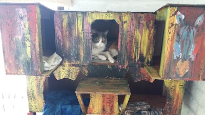 Photos of San Agustin Veterinary Clinic