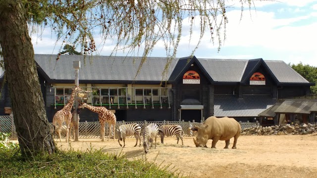 Colchester Zoo