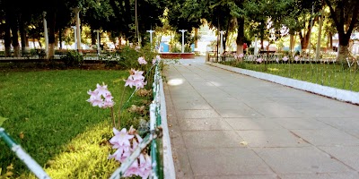 Photos of Municipality of Quinta de Tilcoco