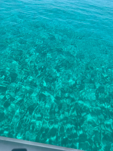 Blu Service Salento - Thumbnail