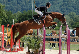 Photo n°12 de élevage de fondcombe à Foissiat (Éleveur)