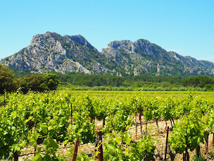 Photo n°8 de Travelling Provence à Jonquerettes (Agence de voyages)