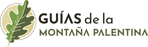 Guías de la Montaña Palentina - Thumbnail