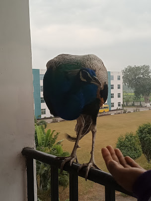 Af1qipnlt0v1ajlobdl2jxe3mi0hbphnpral41sllwdf=s406 K No