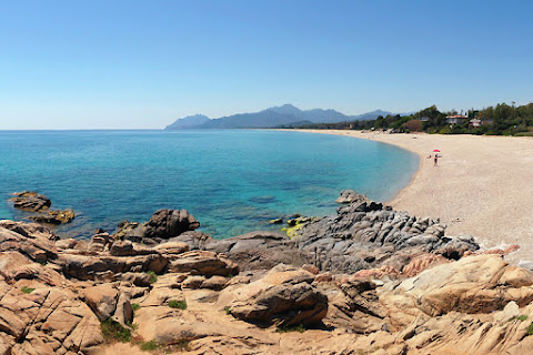 Camping La Pineta by null