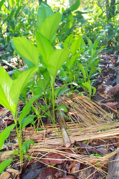 Photos of GambaGam Eco Station