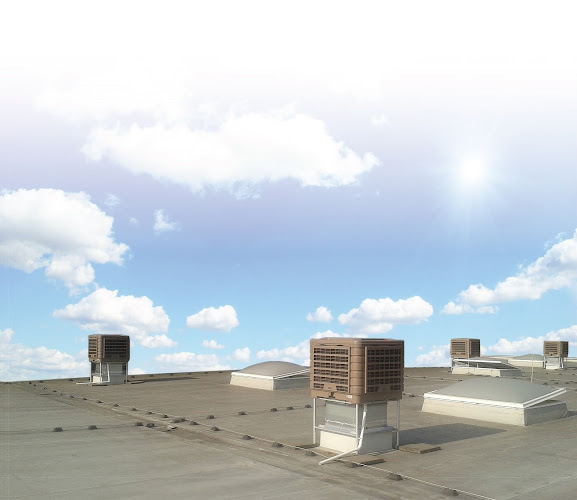 Comentarii opinii despre Szaniec