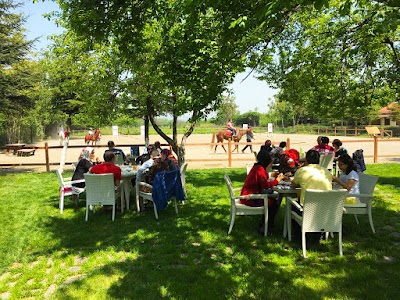 Photos of Club K9