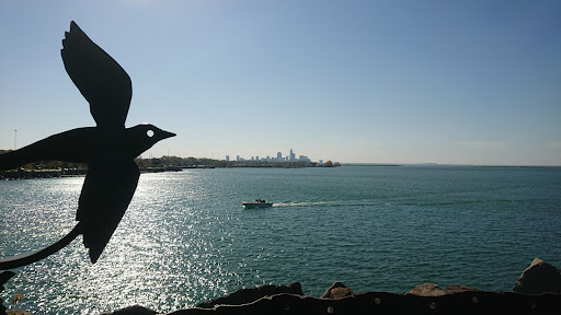 Lakefront Nature Preserve Overlook - Thumbnail