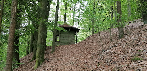 Holzpavillon - Visual